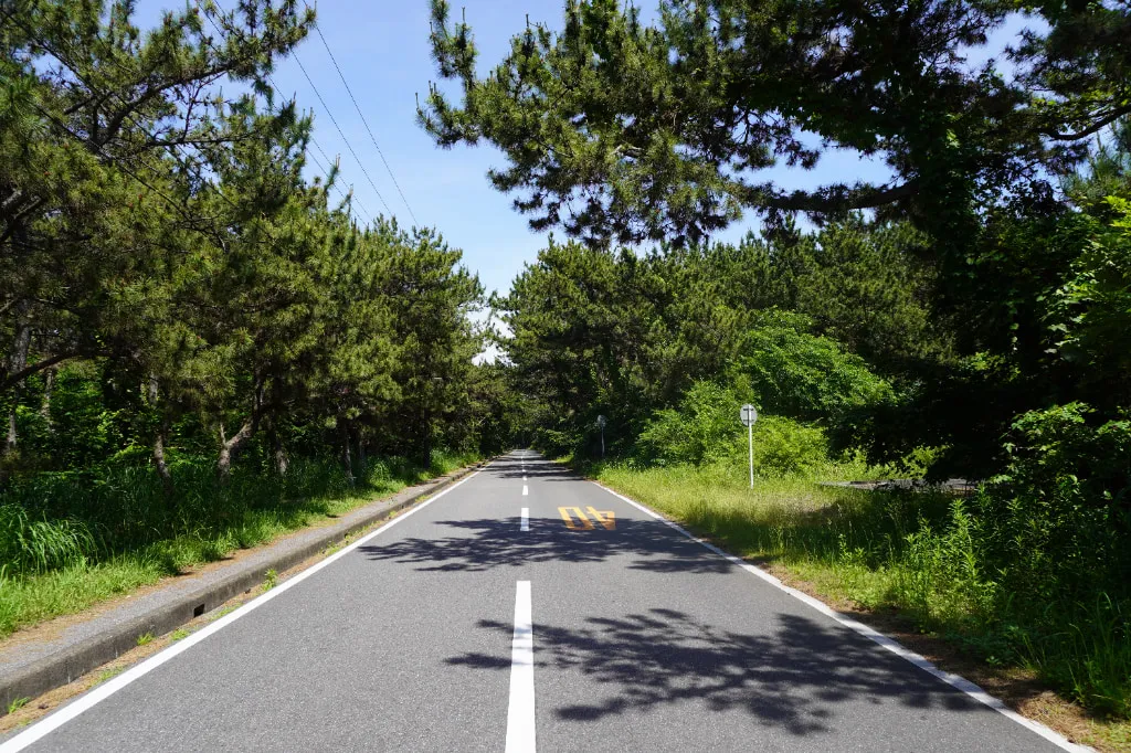 富津岬道路